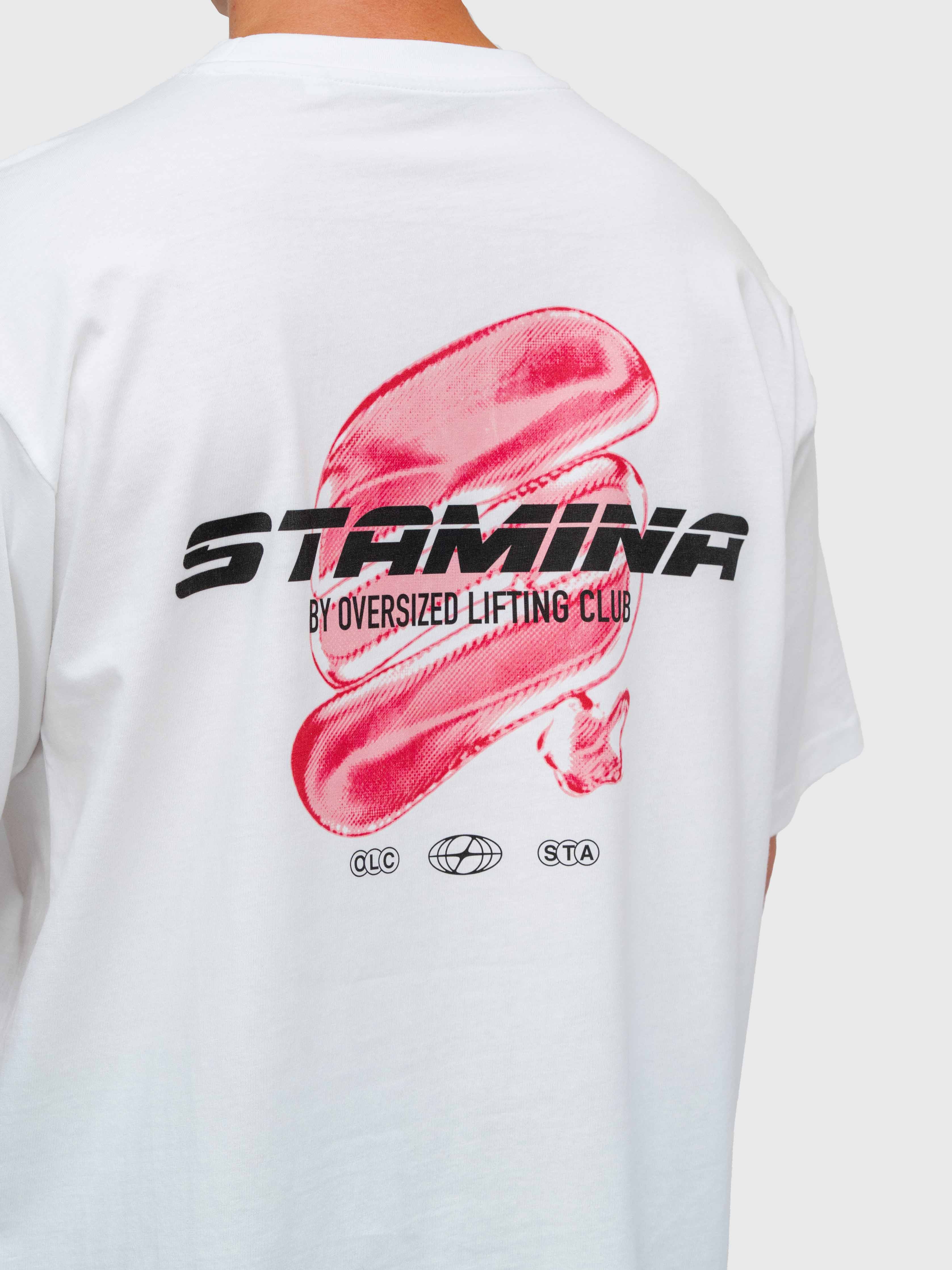 Stamina Chrome Box Tee - White/Pink